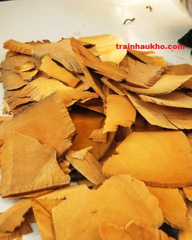 Re-cay-nhau-ha-huyet-ap-chua-dau-lung-nhuc-moi