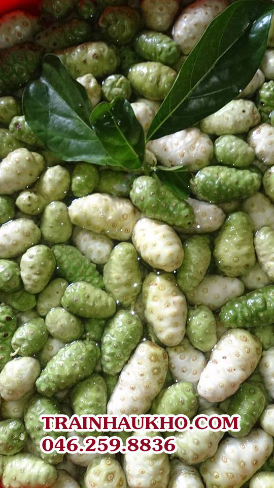 trai-nha-co-kha-nang-cai-nghien