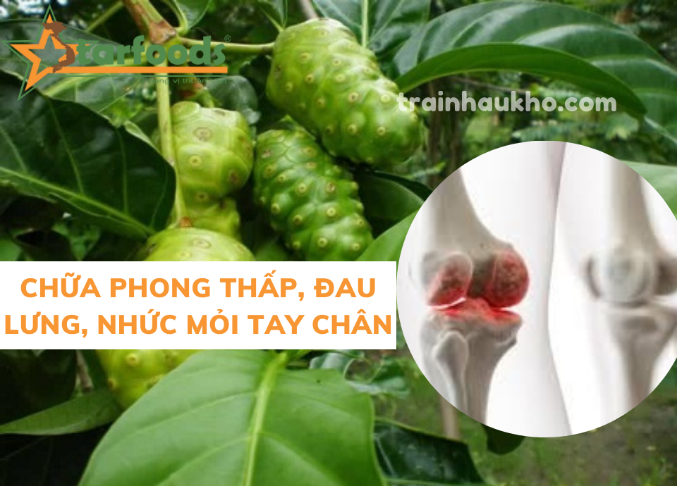 trái nhàu chữa bệnh