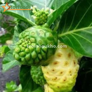 chữa đau lưng từ nhàu