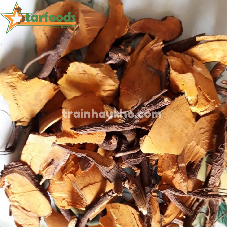 mua rễ nhàu ở đâu